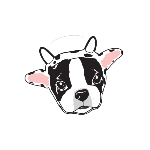 Innocent Ice Cream