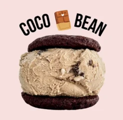 Coco bean